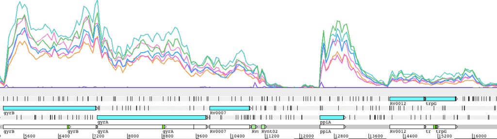 USE Transcriptomic data from Mycobacterium tuberculosis