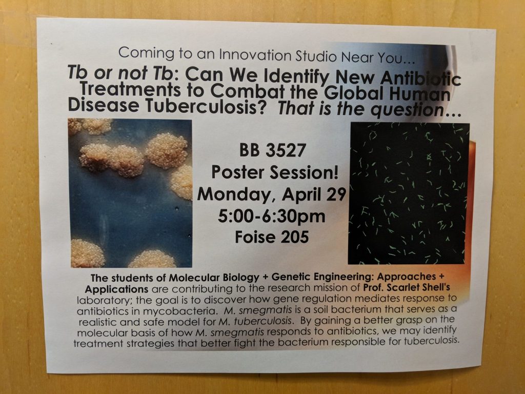 BB3527 poster session announcement