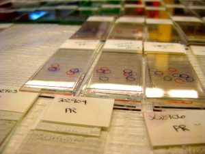 467526_10100540138614936_1098283959_o